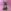 2B - Nier Automata SFW / NSFW
